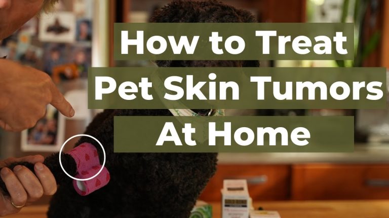 Discover the Top 5 Home Remedies for Skin Tumors in Dogs and Cats