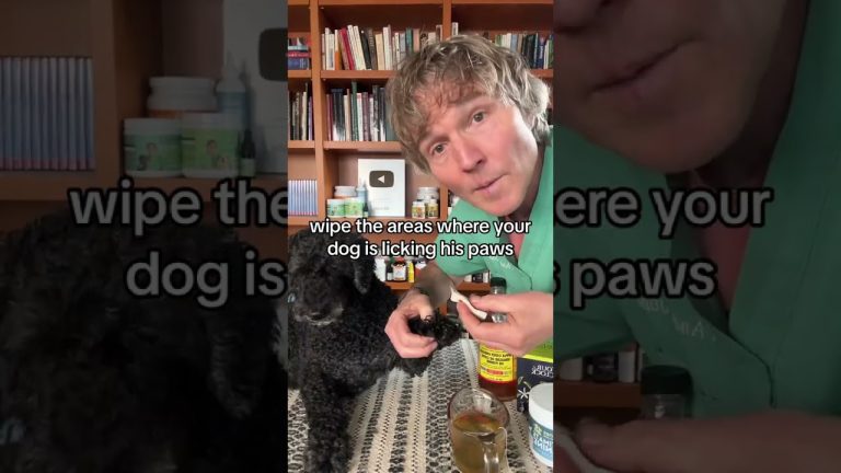 Dog won’t stop licking his paws? Awesome Home Remedy!