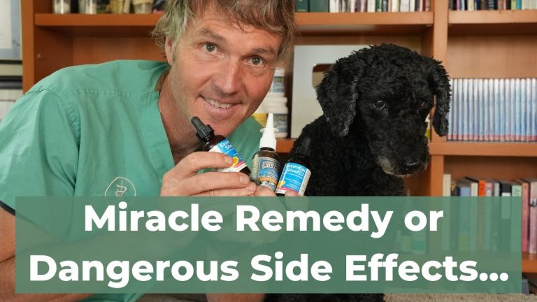 The Hidden Benefits of Colloidal Silver For Pets - Surprising New Findings!