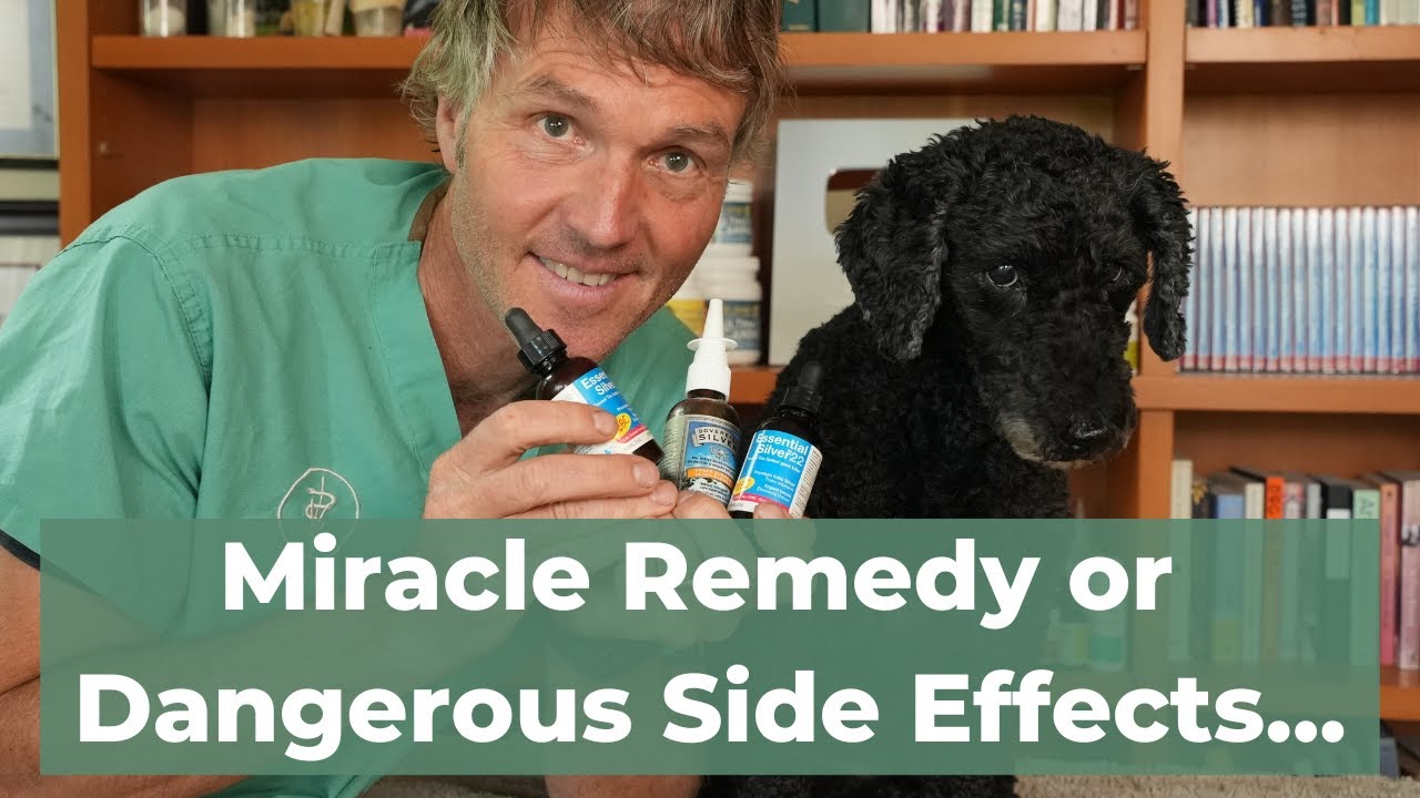 The Hidden Benefits of Colloidal Silver For Pets - Surprising New Findings!