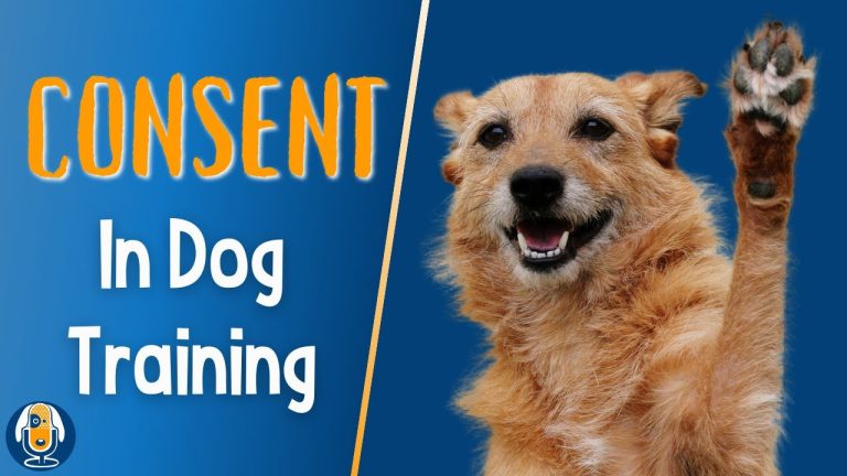 Consent In Dog Training: The Misuse, Misunderstanding And Misapplication #106