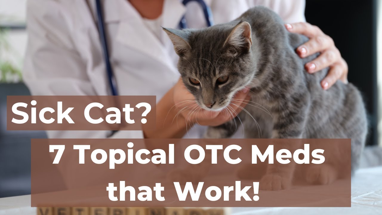 Revealing the Secrets: 7 Topical Essential OTC Medications for Your Cat's Health