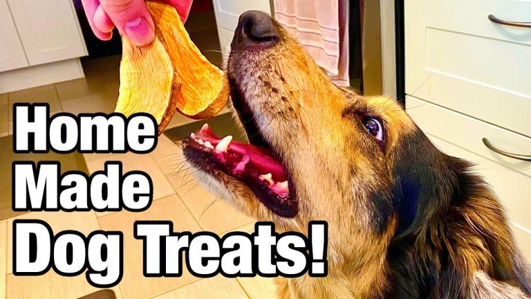 Make Your Own Dog Treats: Healthy, Cheap, and Easy