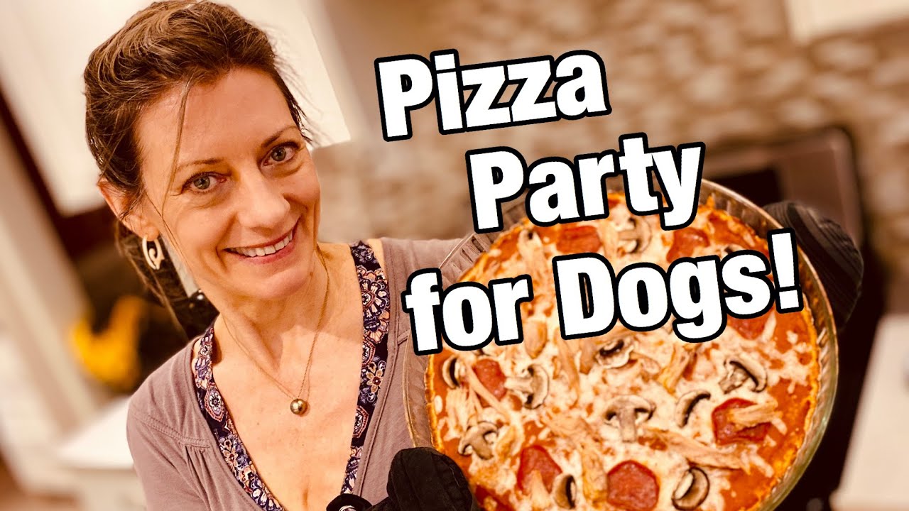 Dog Pizza Party! First a Dog Friendly Pizza Recipe, and then 4 cute dogs chow down!