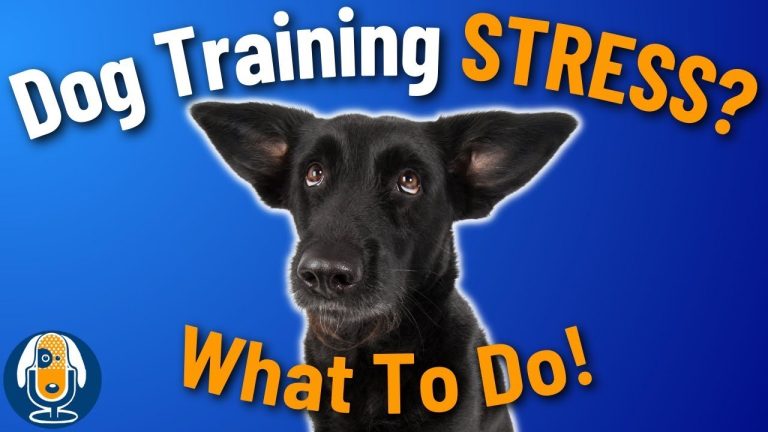 Reduce Your Dog's Stress And Anxiety In Training #167 #podcast