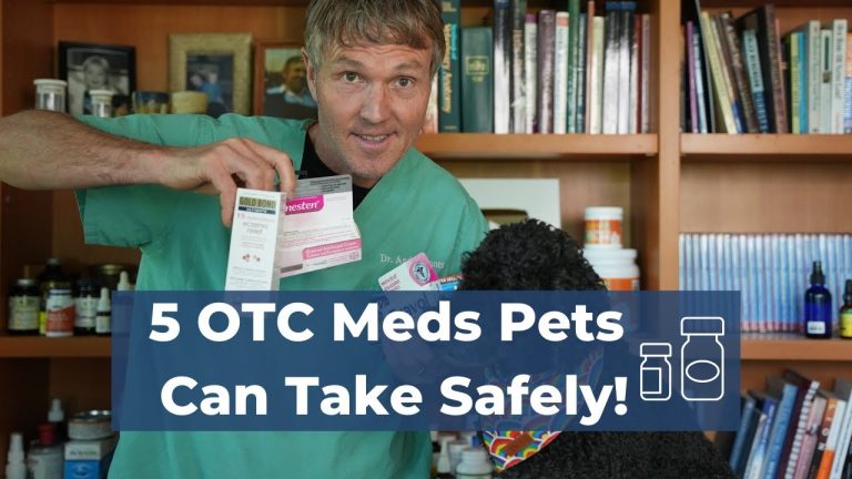 Vet-Approved: 5 OTC Meds That Can Save Your Pet's Day