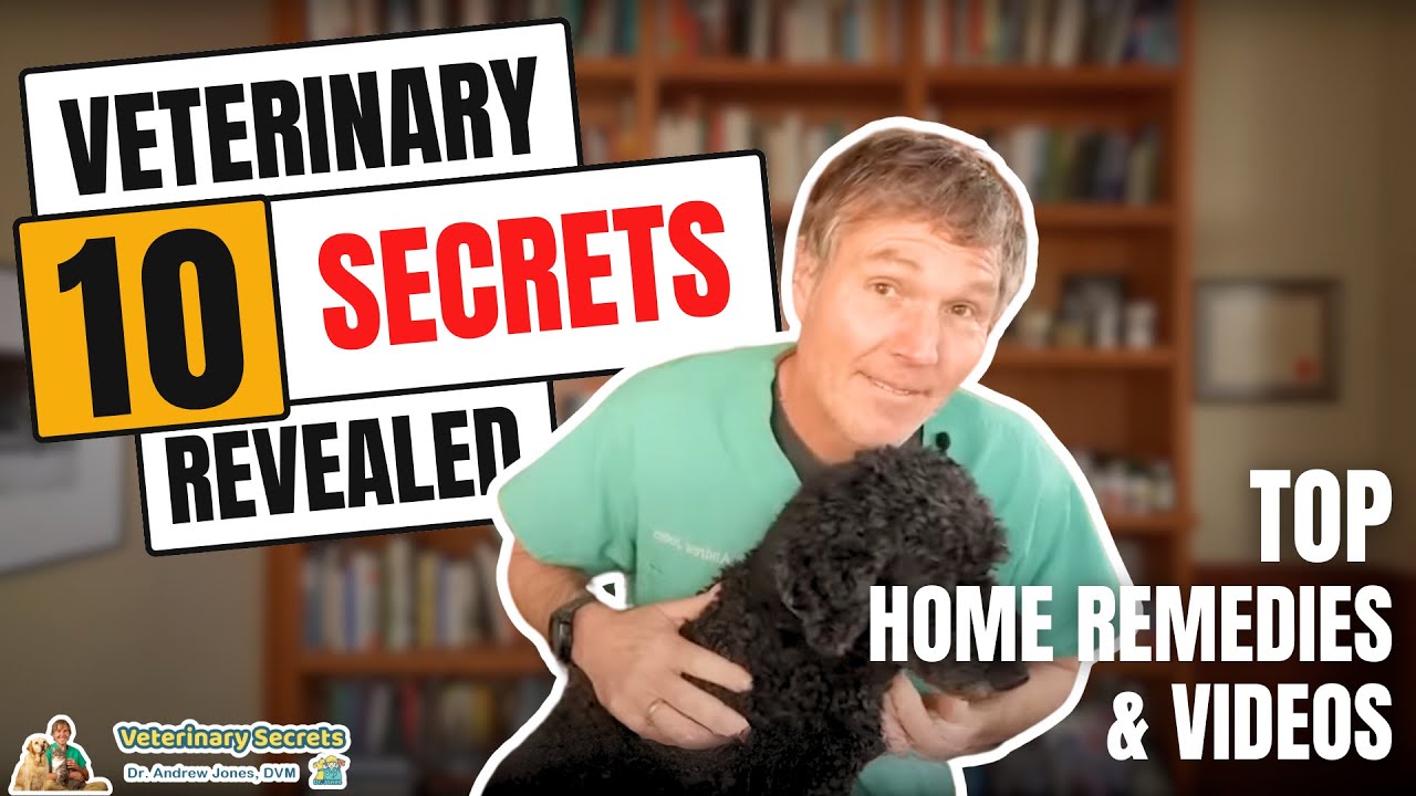 Veterinary Secrets Revealed: Dr Jones' Top 10 Home Remedies and Videos