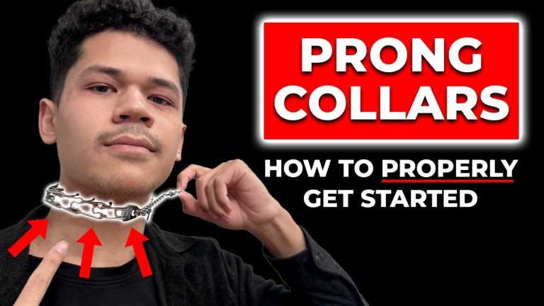 Watch This Video BEFORE Using a Prong Collar