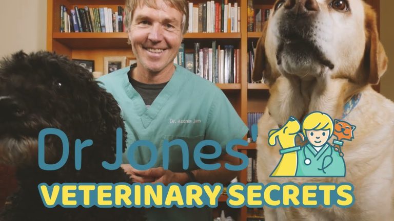 Welcome to Veterinary Secrets!